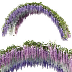Arch with Wisteria 