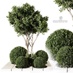 Outdoor Plant 233 vray 