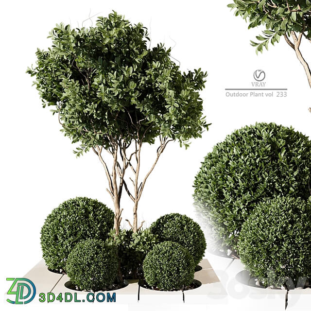 Outdoor Plant 233 vray