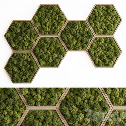 Hexagon Green Wall Panel Set 79 