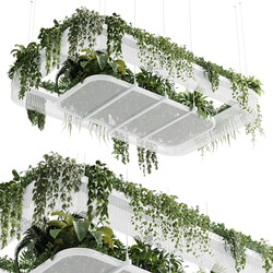 Hanging plants indoor plant 323 vray 