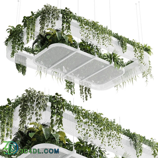 Hanging plants indoor plant 323 vray