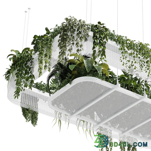 Hanging plants indoor plant 323 vray