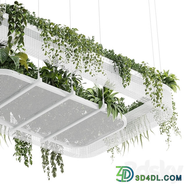 Hanging plants indoor plant 323 vray