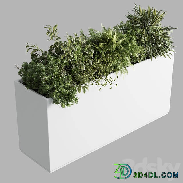 Office plant plastic box plants on stand set indoor plant 389