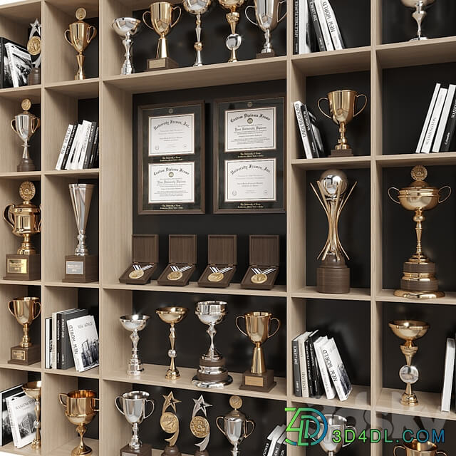 Rack with awards and books