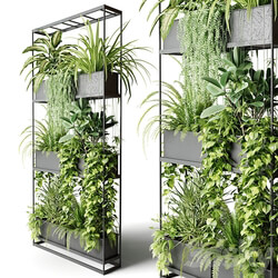 Wide metal rack with indoor plants 