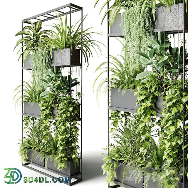 Wide metal rack with indoor plants