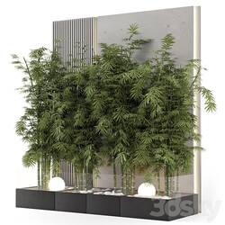 Indoor Wall Bamboo Garden in Concrete Base Set 1529 