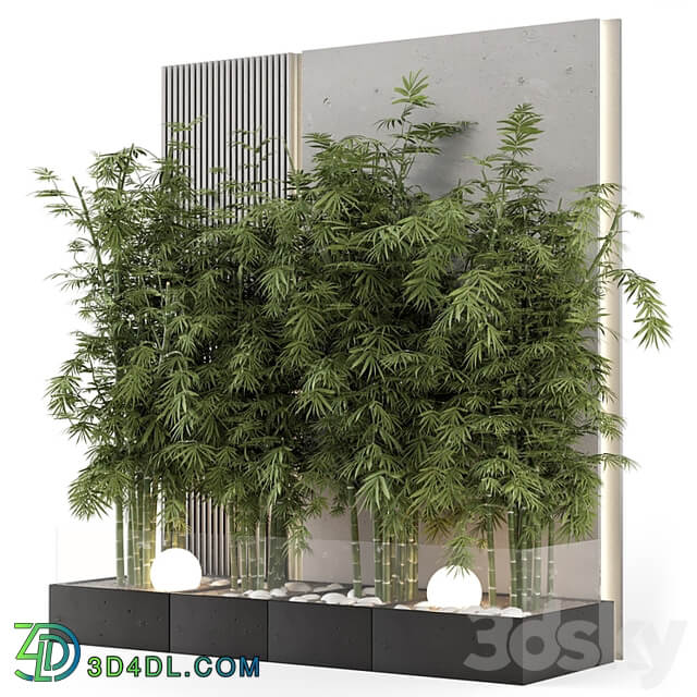 Indoor Wall Bamboo Garden in Concrete Base Set 1529