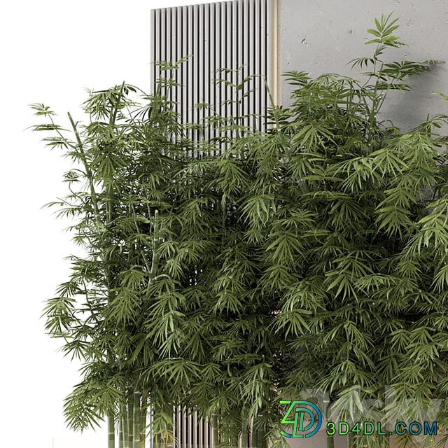 Indoor Wall Bamboo Garden in Concrete Base Set 1529