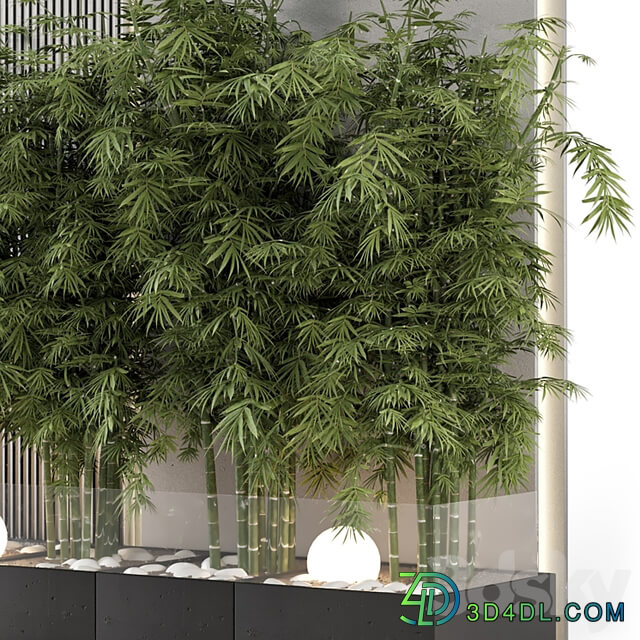 Indoor Wall Bamboo Garden in Concrete Base Set 1529