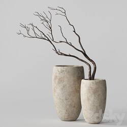 Artisan Rustic Vases with dry Branches 