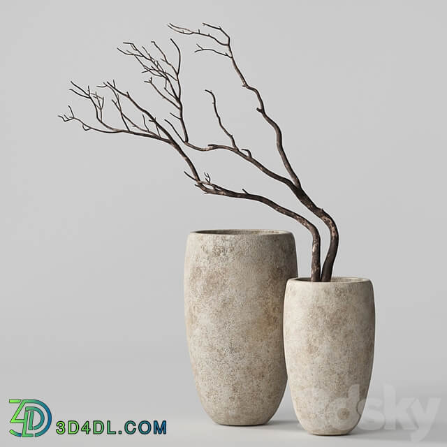 Artisan Rustic Vases with dry Branches