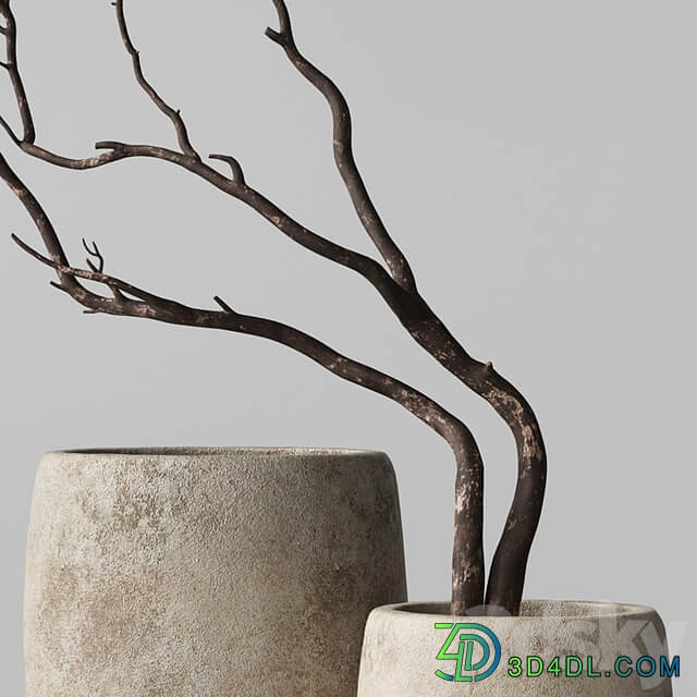 Artisan Rustic Vases with dry Branches