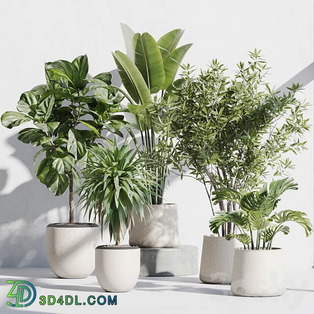 indoor plant set 66