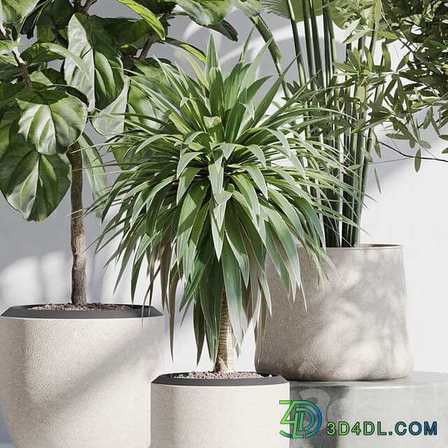 indoor plant set 66