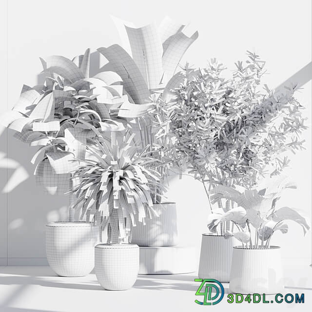 indoor plant set 66