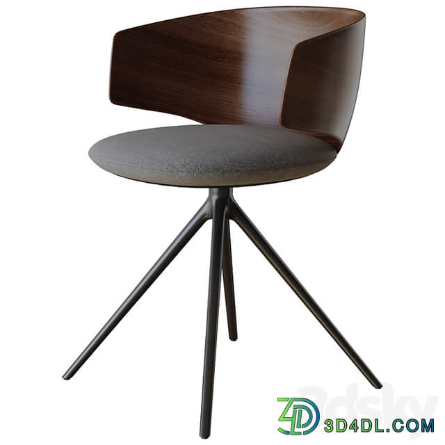 chair universal collection wooden backrest
