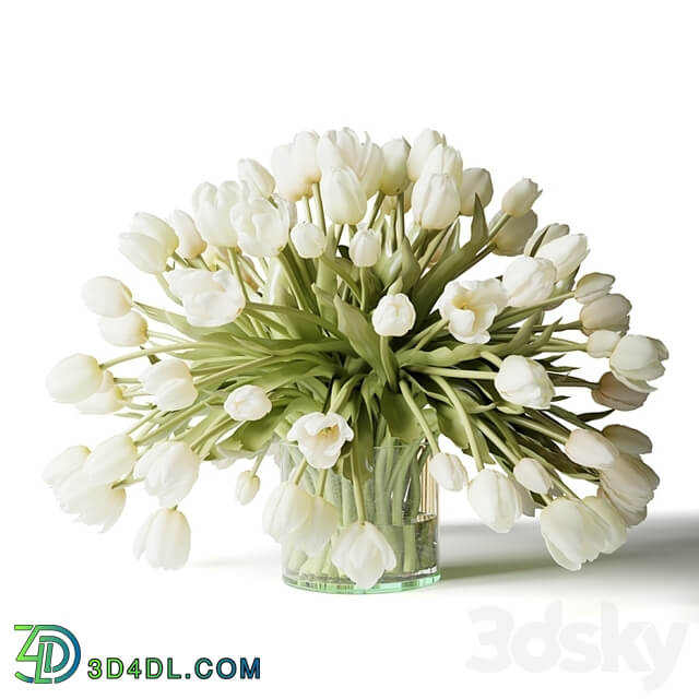 White tulips in a vase, a bouquet of flowers