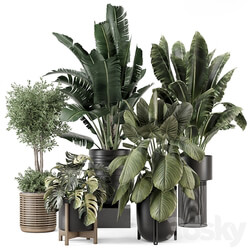 Indoor Plants in Ferm Living Bau Pot Large Set 1665 