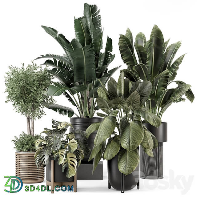 Indoor Plants in Ferm Living Bau Pot Large Set 1665