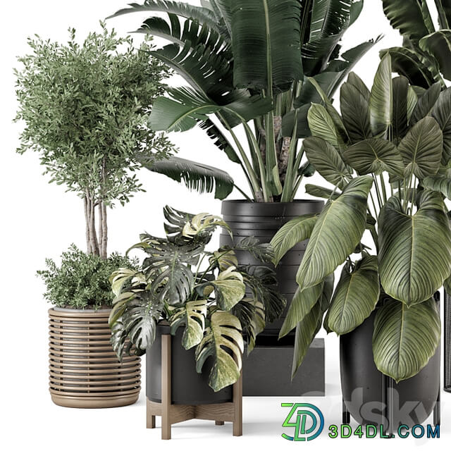 Indoor Plants in Ferm Living Bau Pot Large Set 1665