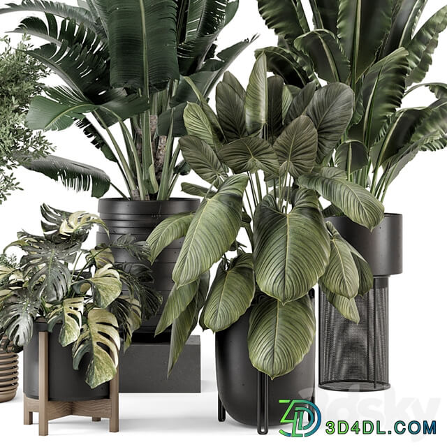 Indoor Plants in Ferm Living Bau Pot Large Set 1665