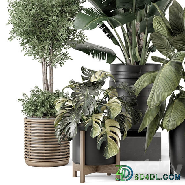 Indoor Plants in Ferm Living Bau Pot Large Set 1665