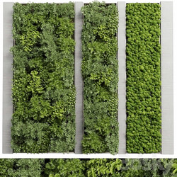 Concrete frame Vertical garden plant and moss garden wall decor box 66 