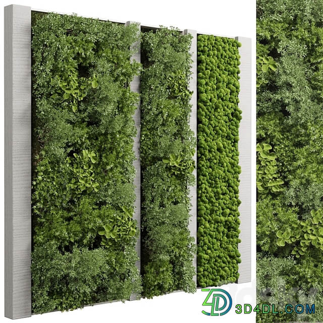 Concrete frame Vertical garden plant and moss garden wall decor box 66