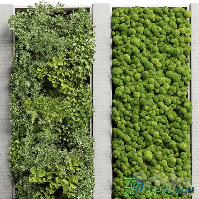 Concrete frame Vertical garden plant and moss garden wall decor box 66