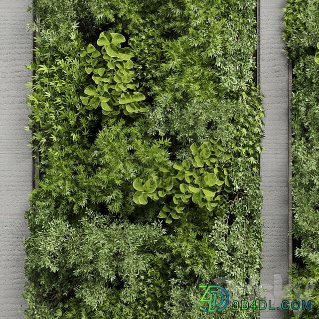 Concrete frame Vertical garden plant and moss garden wall decor box 66