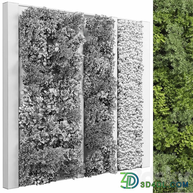 Concrete frame Vertical garden plant and moss garden wall decor box 66