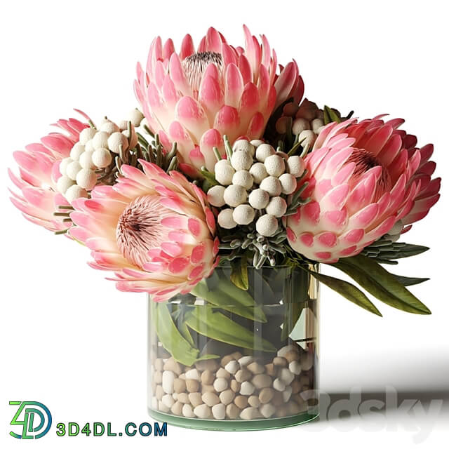 Bouquet of pink proteas with balls