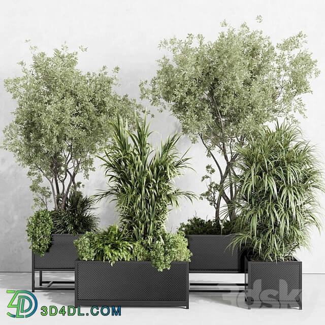 metal box plants on stand set indoor plant 425