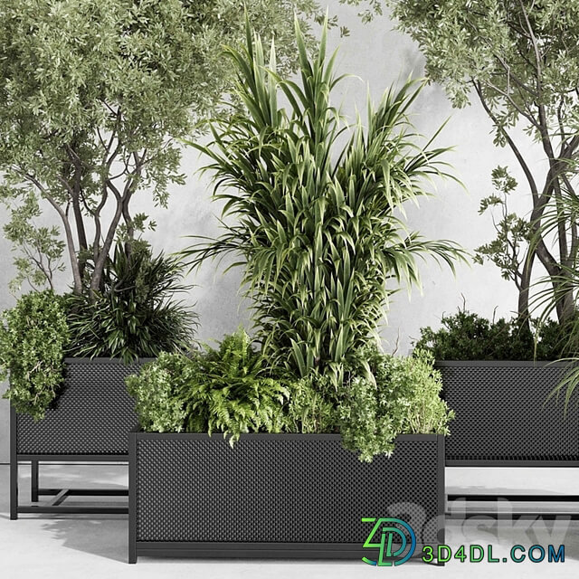 metal box plants on stand set indoor plant 425