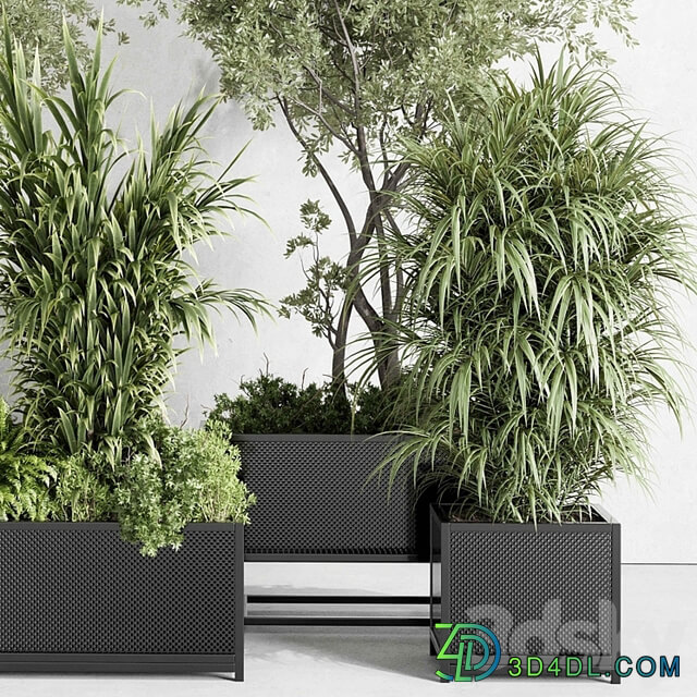 metal box plants on stand set indoor plant 425