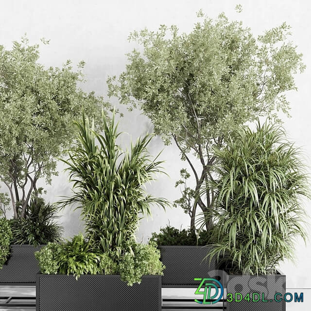 metal box plants on stand set indoor plant 425