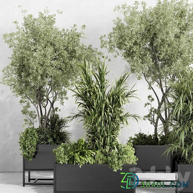 metal box plants on stand set indoor plant 425