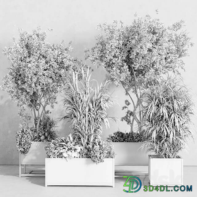 metal box plants on stand set indoor plant 425