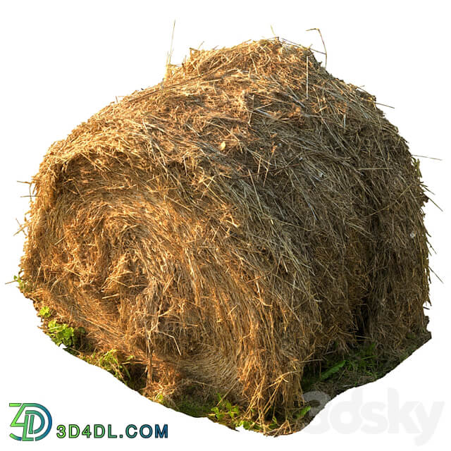 Round bale of hay