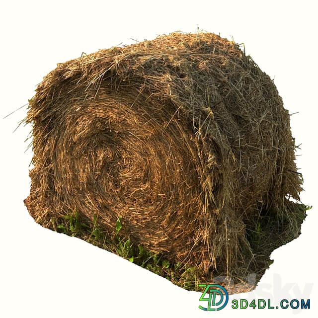 Round bale of hay