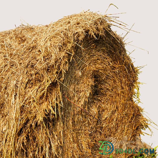 Round bale of hay