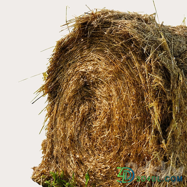 Round bale of hay