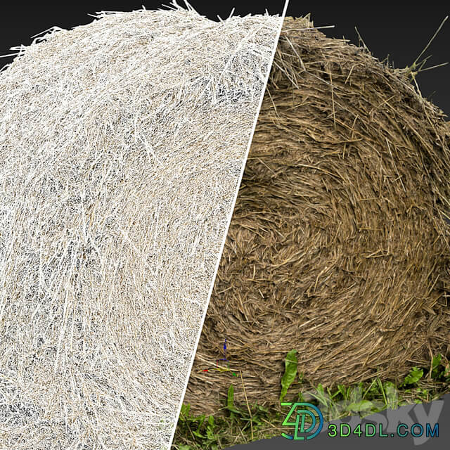 Round bale of hay