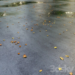 Wet asphalt with leaves. Autumn. Editable 