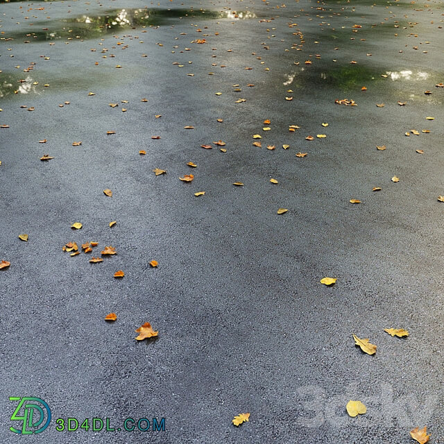 Wet asphalt with leaves. Autumn. Editable