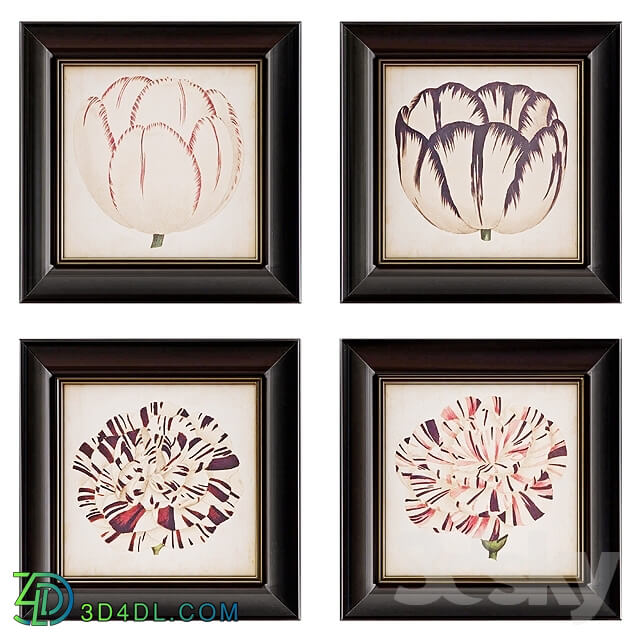 Pop Floral Framed Wall Art Collection