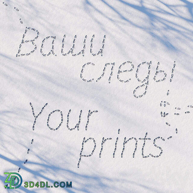 Prints in the snow